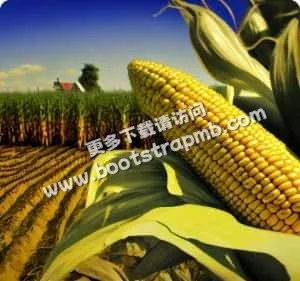 康泰體育科技，連結無限可能 - mk官网kangtai